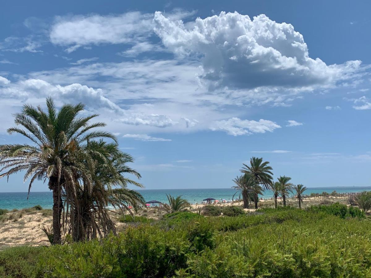 Puerto Marino Villas Yanina Luxe Gran Alacant מראה חיצוני תמונה
